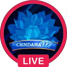 CENDANA777 - Balapan Seru dan Menantang di Ujung Jari Anda